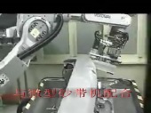 Automatic Grinding &Polishing Robot